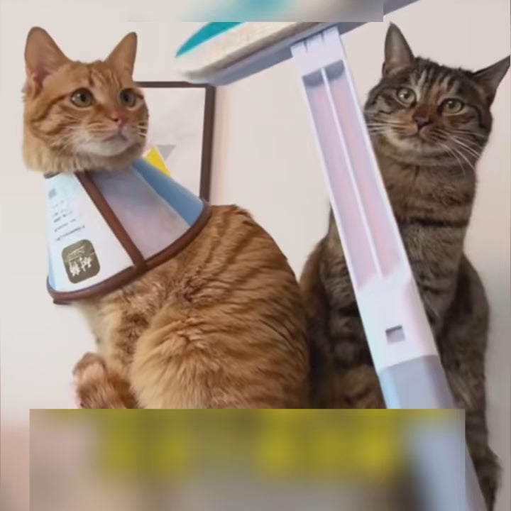 BelleHome™ Multi-Surface Cleaning Brush & Pet Hair Remover